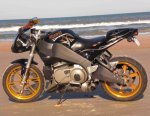 Buell on the Beach3-1-10.jpg