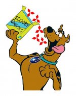 scoob.jpg