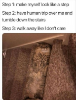 Cat Step.png