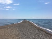 point pelee.jpg