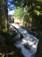 hawk lake log chute 2.jpg