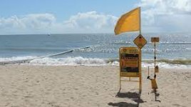 File:Marine stinger net, Ellis Beach, 2018.jpg - Wikimedia Commons