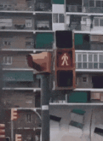 20220131_230512.gif