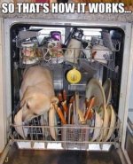 Doggie Dishwasher.jpg