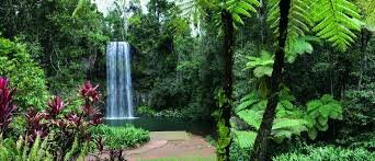 Millaa Millaa, Atherton Tablelands Tropical North Queensland