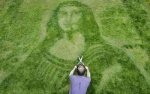 xlawn-art-mona-lisa-in-grass-by-chris-naylor.jpeg.pagespeed.ic.5QohGBbNlh.jpg