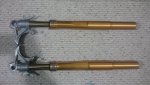 Ohlins Forks sm.JPG