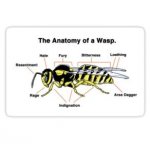 wasp.jpg